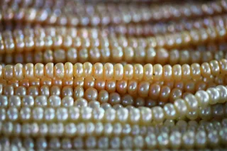 Image of AAA-Grade Pearl (Custom Selection) - Pearl
